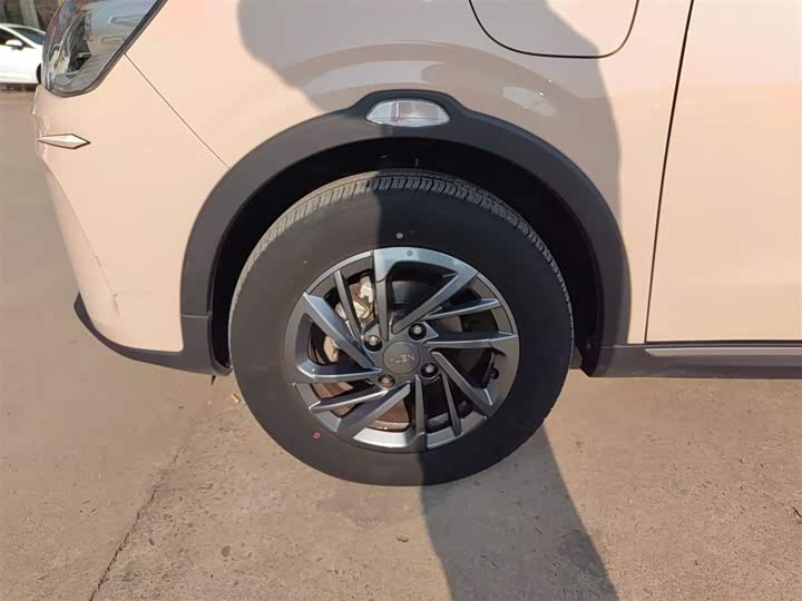 Фото 23 - Hozon AYA