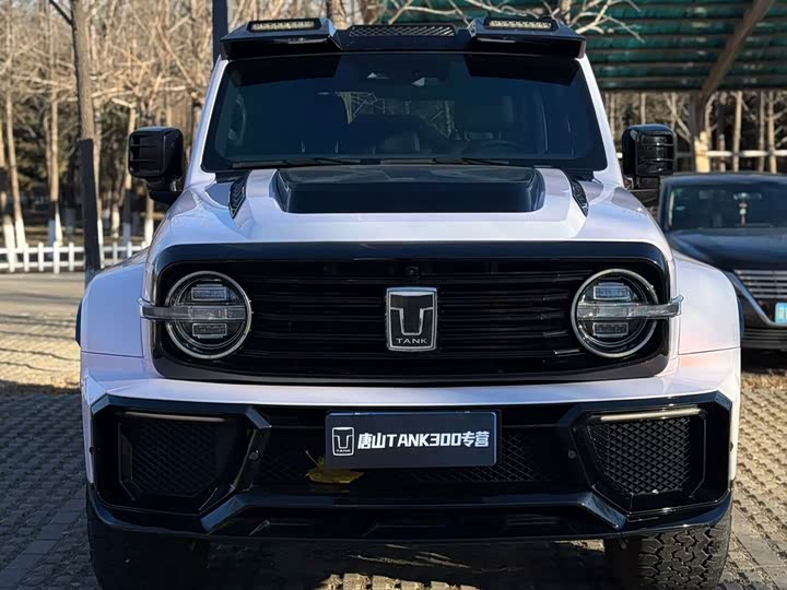 Фото 1 - Tank 300