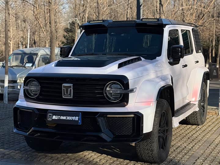 Фото 2 - Tank 300