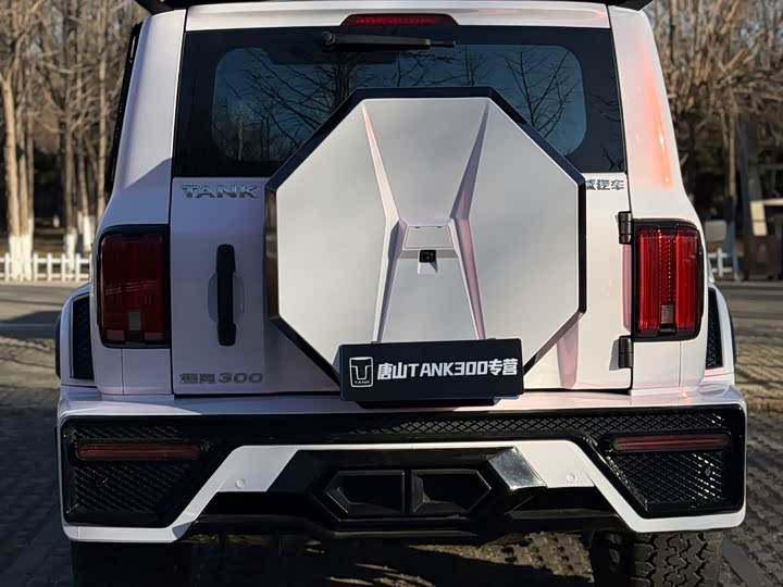 Фото 7 - Tank 300