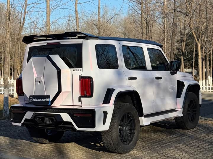 Фото 9 - Tank 300