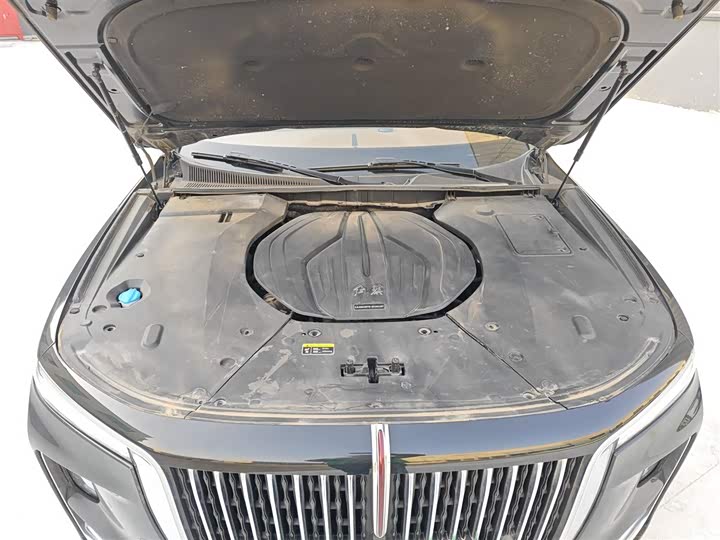 Фото 20 - Hongqi H9