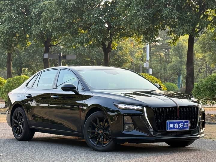 Фото 3 - Hongqi H5