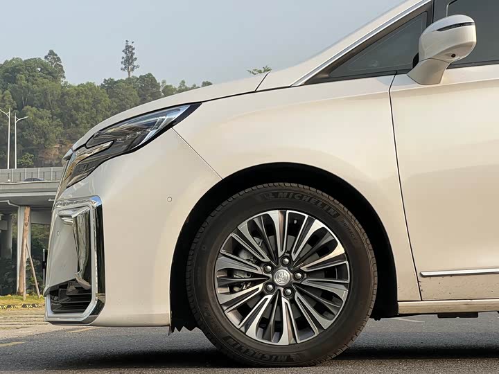 Фото 22 - Buick GL8 ES