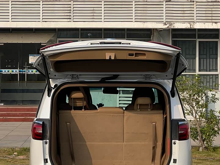 Фото 8 - Buick GL8 ES