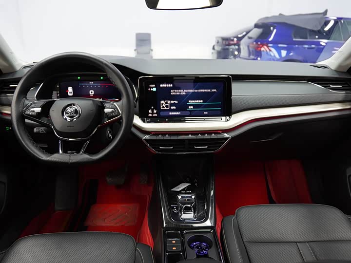 Фото 16 - Skoda Octavia Pro