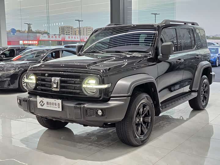 Фото 1 - Tank 300