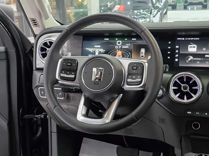 Фото 15 - Tank 300