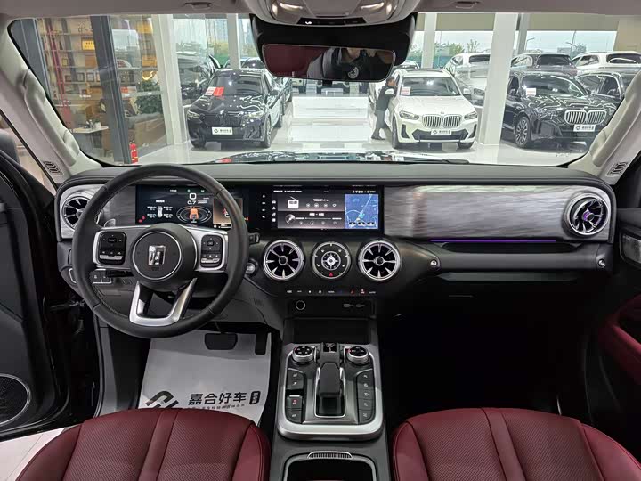 Фото 18 - Tank 300