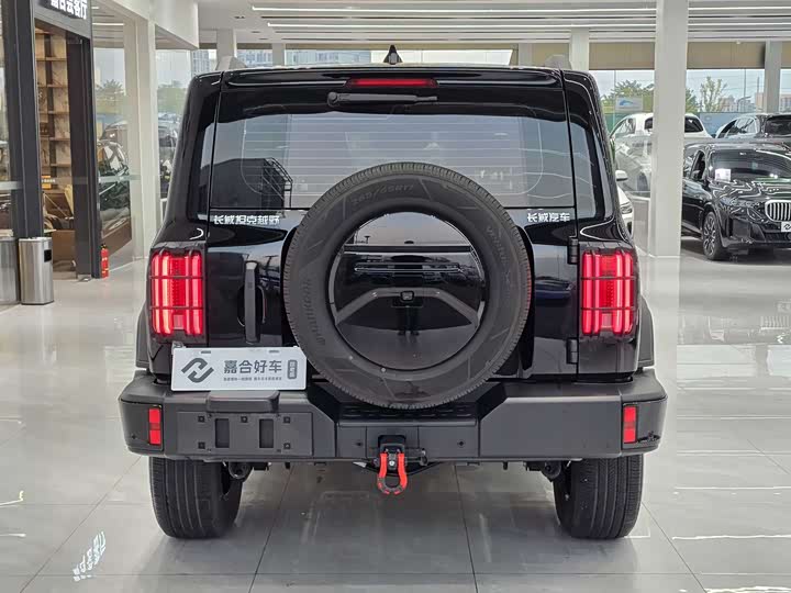 Фото 19 - Tank 300