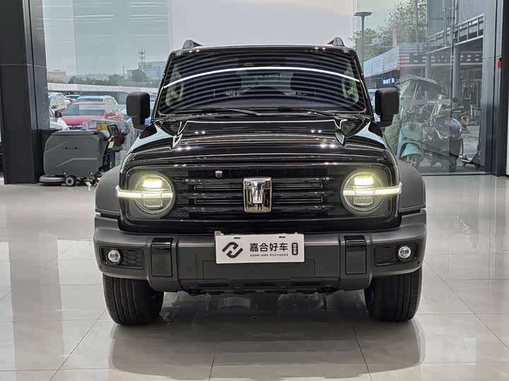 Фото 2 - Tank 300