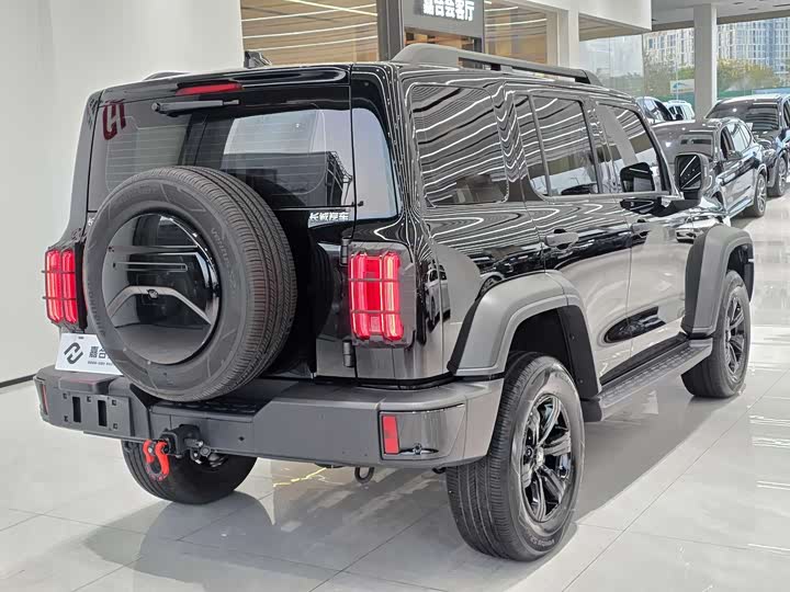 Фото 21 - Tank 300