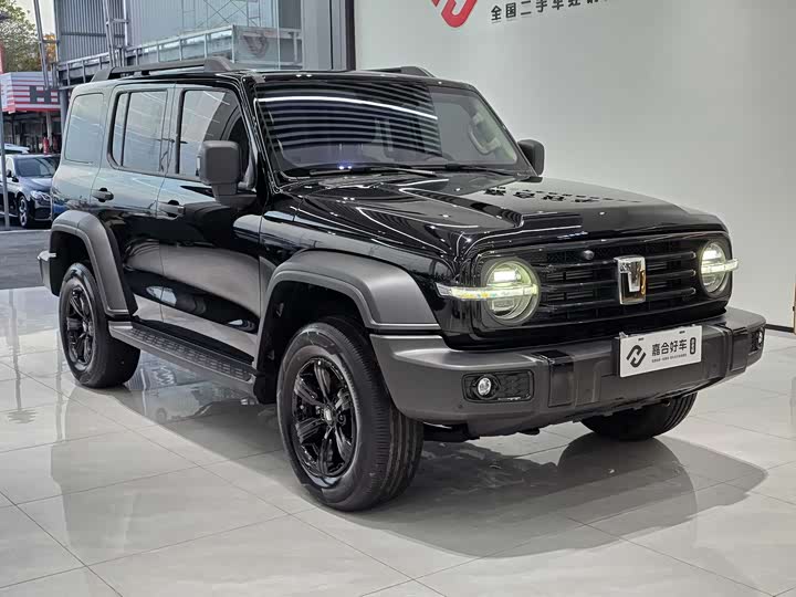 Фото 3 - Tank 300