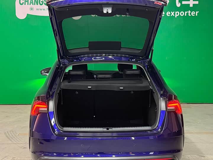 Фото 11 - Skoda Octavia Pro