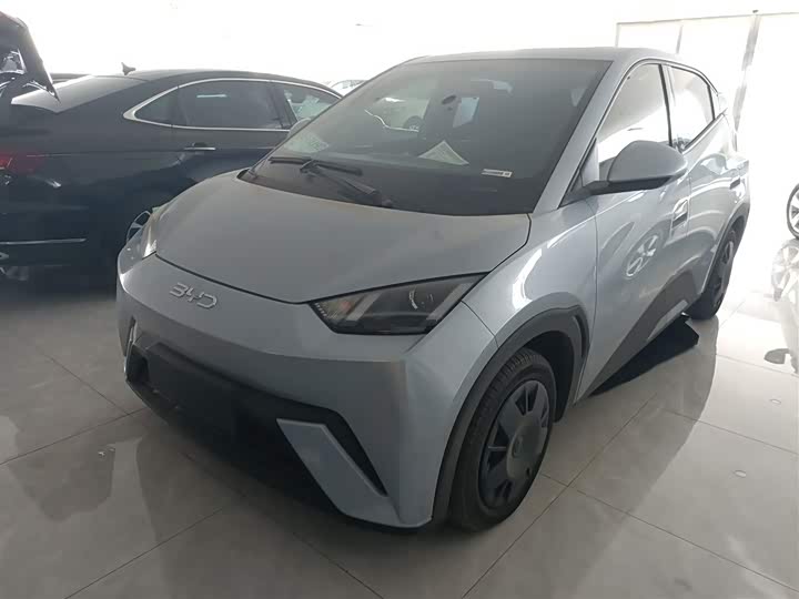 Фото 1 - BYD Seagull