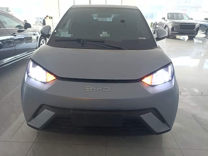 Фото 3 - BYD Seagull