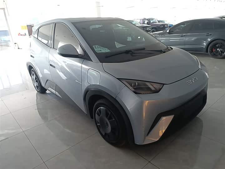 Фото 4 - BYD Seagull