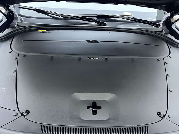 Фото 19 - LiXiang One