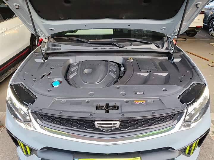 Фото 20 - Geely Tugella S