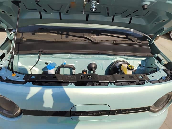 Фото 20 - Geely Galaxy Panda Mini