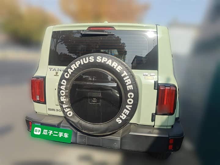 Фото 27 - Tank 300