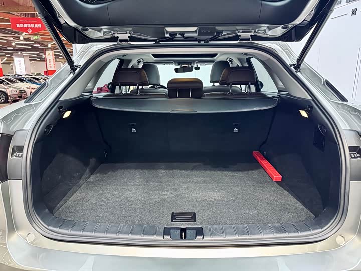 Фото 26 - Lexus RX