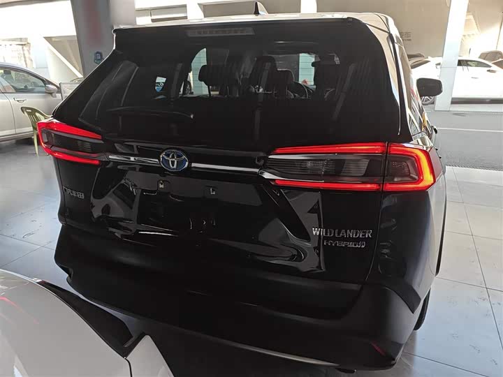 Фото 6 - Toyota Wildlander