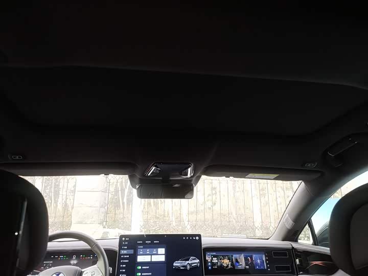 Фото 18 - Denza Z9