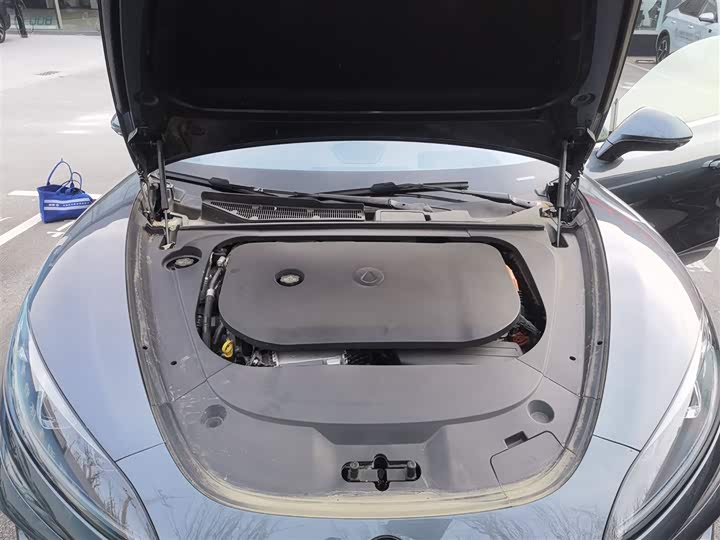 Фото 20 - Denza Z9