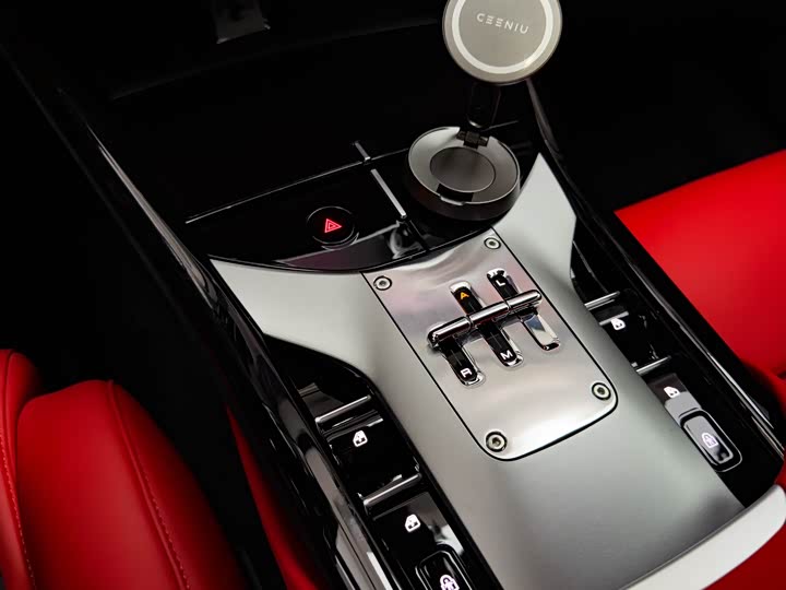 Фото 12 - Ferrari Purosangue