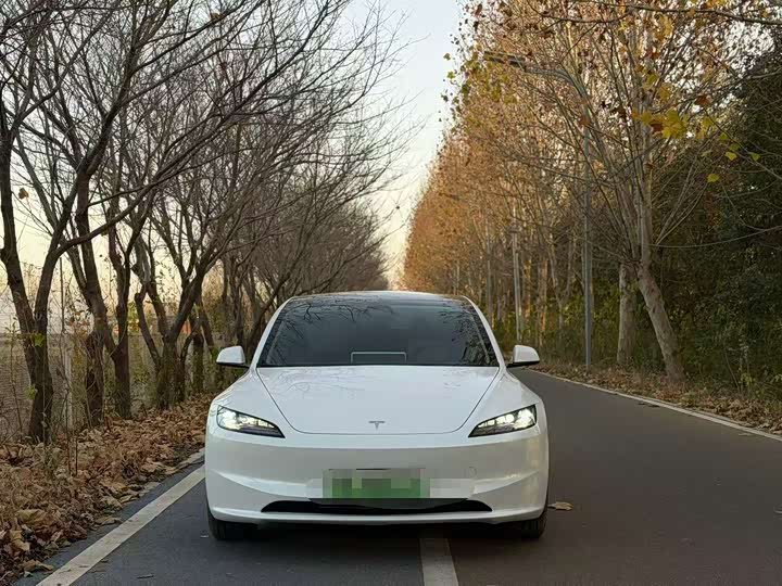 Фото 2 - Tesla Model 3