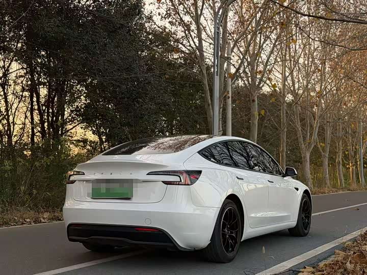Фото 4 - Tesla Model 3