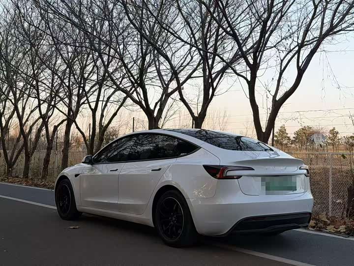 Фото 6 - Tesla Model 3