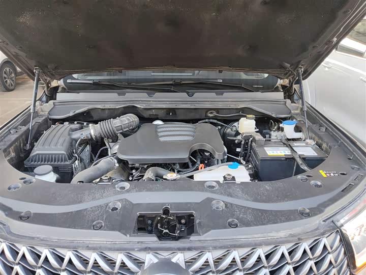 Фото 20 - Great Wall Pao