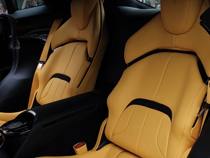 Фото 13 - Ferrari Purosangue