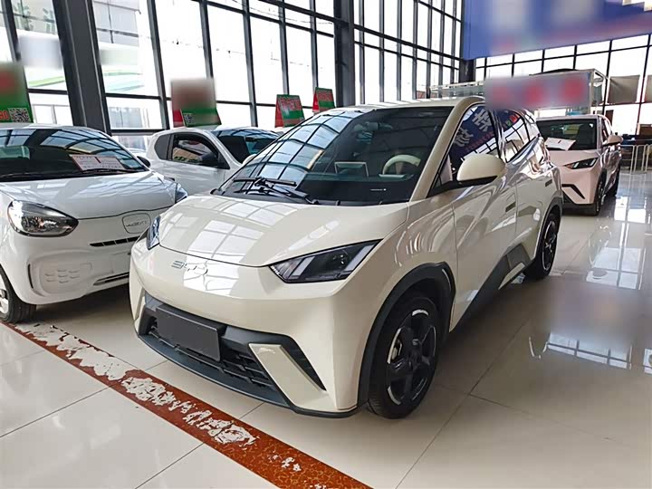 Фото 1 - BYD Seagull