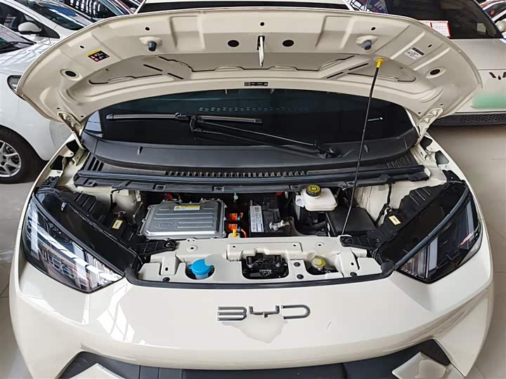 Фото 20 - BYD Seagull