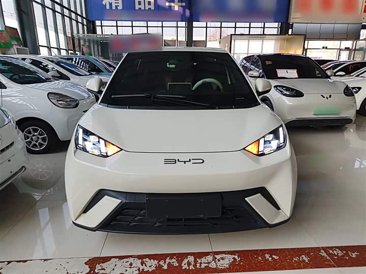 Фото 3 - BYD Seagull