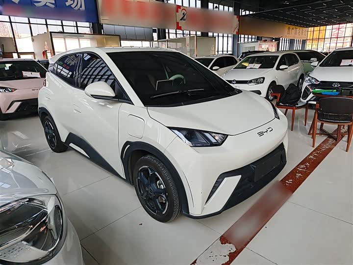 Фото 4 - BYD Seagull