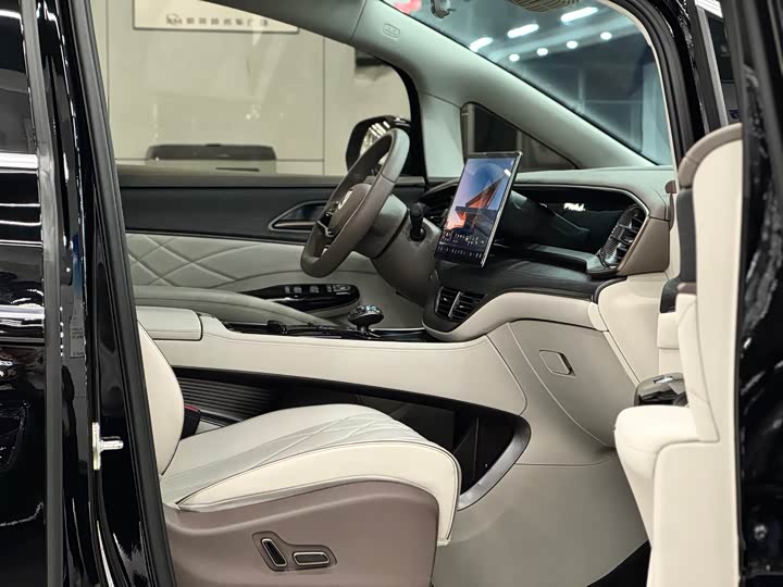 Фото 10 - Denza D9