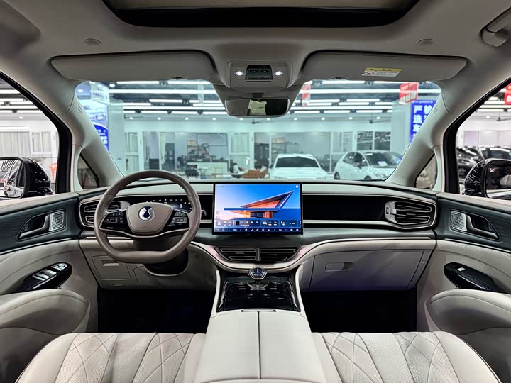 Фото 12 - Denza D9