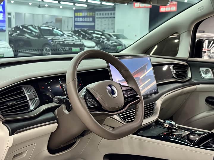 Фото 15 - Denza D9