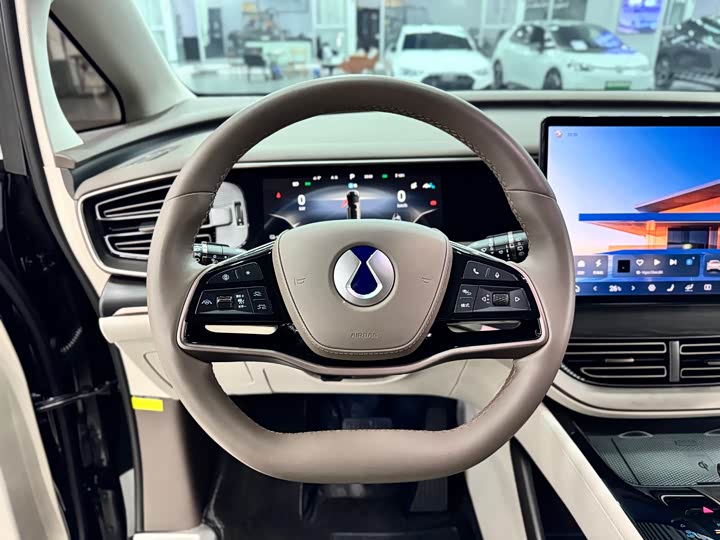 Фото 16 - Denza D9