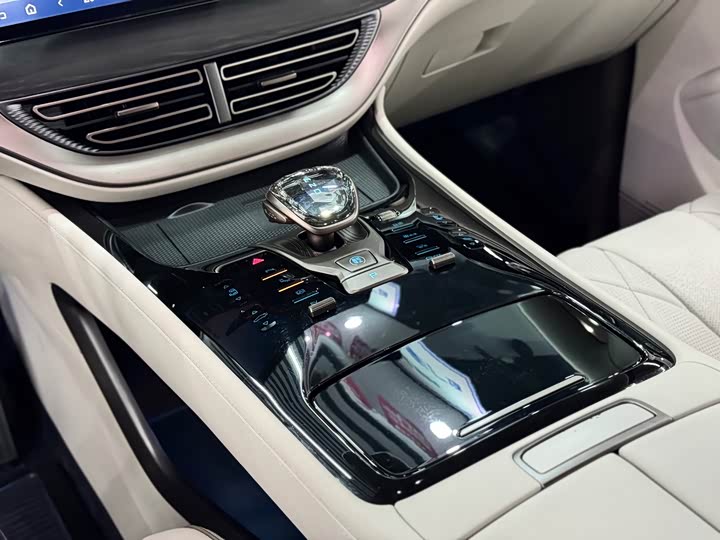 Фото 19 - Denza D9