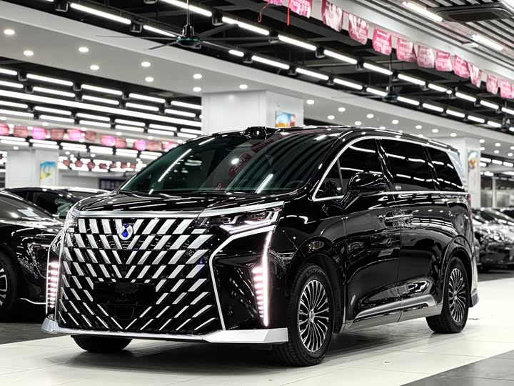 Фото 2 - Denza D9