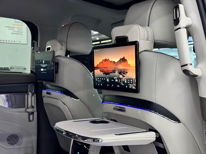 Фото 21 - Denza D9