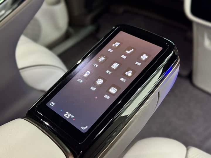 Фото 23 - Denza D9