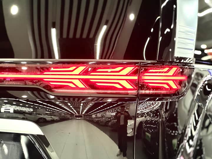 Фото 25 - Denza D9