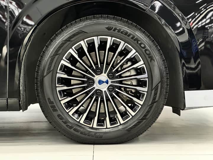 Фото 26 - Denza D9