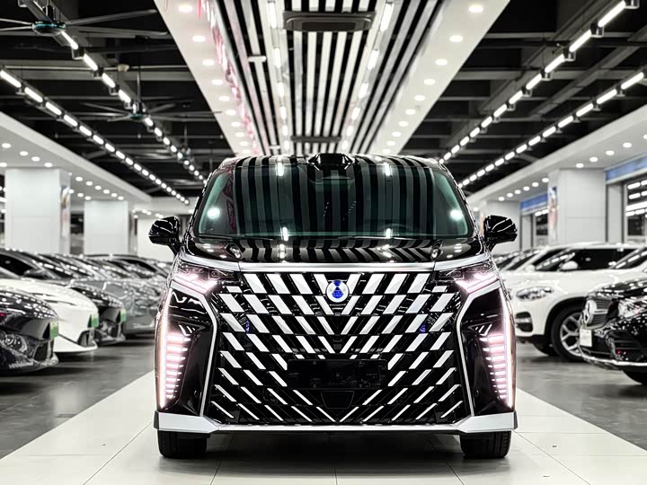 Фото 3 - Denza D9